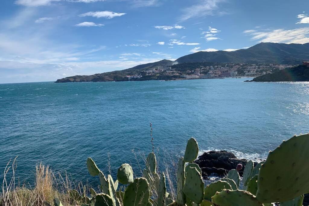 Attique A Banyuls - Vue Mer Et Montagne Exteriör bild