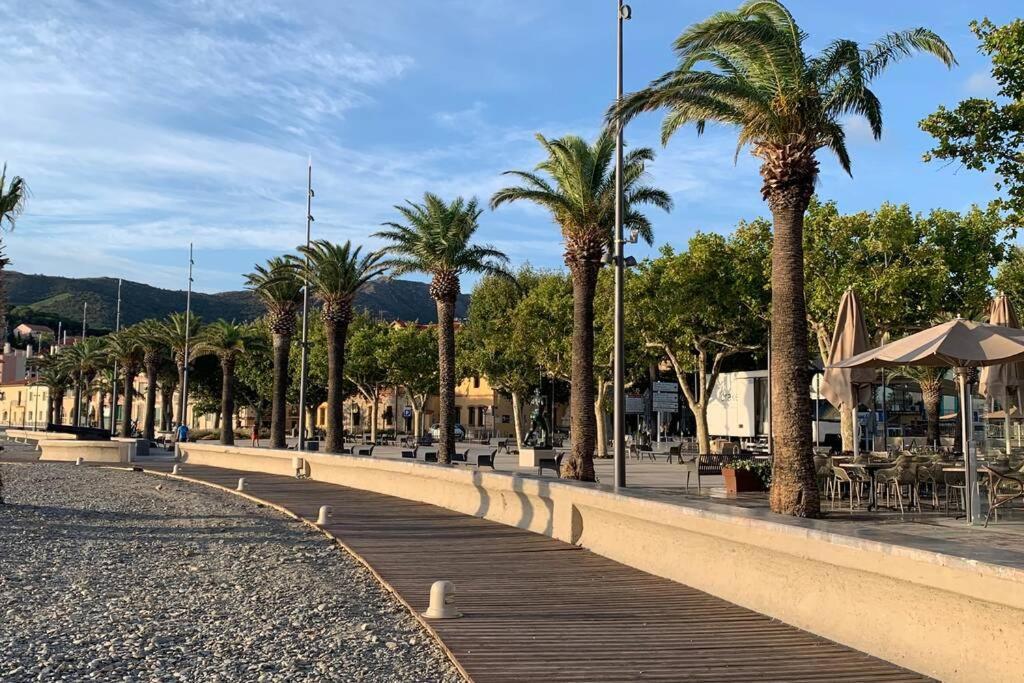 Attique A Banyuls - Vue Mer Et Montagne Exteriör bild